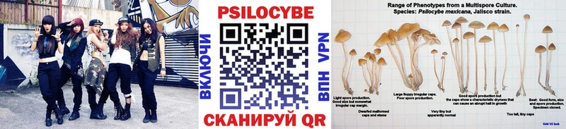 Галлюциногенные грибы мицелий  Кушва 
