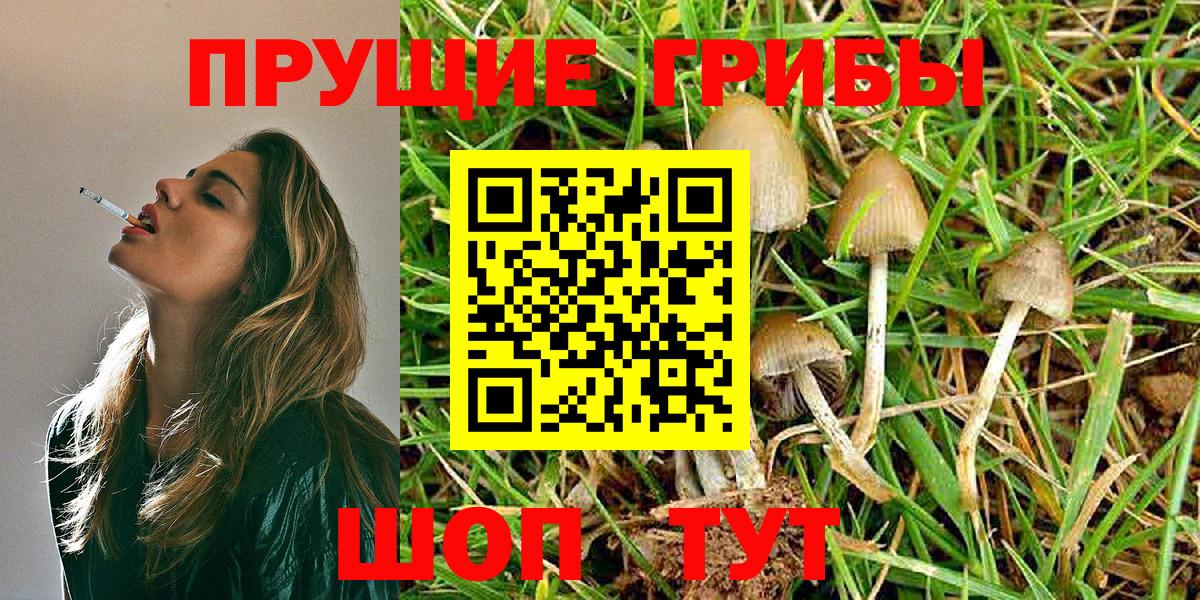 Галлюциногенные грибы MAGIC MUSHROOMS Кушва